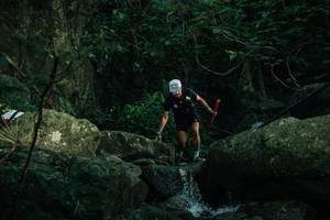 BIB: 
                            <button type="button" onclick="openModal(28075603)" class="btn btn-primary btn-sm float-right btn-popup" data-toggle="modal" data-target=".modal-high-quality">
                        <i class="fas fa-shopping-cart"></i> Add to Cart
                    </button>
                                            <button type="button" onclick="isThisMe(28075603, true)" class="btn btn-success btn-sm float-right btn-popup btn-isme hidden" data-toggle="tooltip" data-placement="bottom" title="นี่คือรูปของคุณใช่ไหม คลิกที่นี่เพื่อเอาเข้าอัลบั้ม">
                        <i class="fas fa-plus"></i> Add to album
                    </button>
                    <button type="button" onclick="isThisMe(28075603, false)" class="btn btn-warning btn-sm float-right btn-popup btn-isnotme hidden">
                        <i class="fas fa-ban"></i> Remove from album
                    </button>