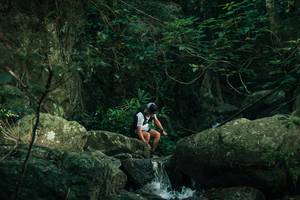 BIB: 
                            <button type="button" onclick="openModal(28075652)" class="btn btn-primary btn-sm float-right btn-popup" data-toggle="modal" data-target=".modal-high-quality">
                        <i class="fas fa-shopping-cart"></i> Add to Cart
                    </button>
                                            <button type="button" onclick="isThisMe(28075652, true)" class="btn btn-success btn-sm float-right btn-popup btn-isme hidden" data-toggle="tooltip" data-placement="bottom" title="นี่คือรูปของคุณใช่ไหม คลิกที่นี่เพื่อเอาเข้าอัลบั้ม">
                        <i class="fas fa-plus"></i> Add to album
                    </button>
                    <button type="button" onclick="isThisMe(28075652, false)" class="btn btn-warning btn-sm float-right btn-popup btn-isnotme hidden">
                        <i class="fas fa-ban"></i> Remove from album
                    </button>