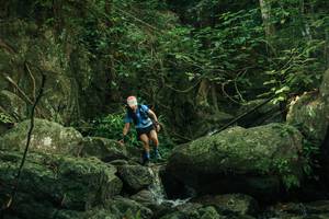 BIB: 
                            <button type="button" onclick="openModal(28079857)" class="btn btn-primary btn-sm float-right btn-popup" data-toggle="modal" data-target=".modal-high-quality">
                        <i class="fas fa-shopping-cart"></i> Add to Cart
                    </button>
                                            <button type="button" onclick="isThisMe(28079857, true)" class="btn btn-success btn-sm float-right btn-popup btn-isme hidden" data-toggle="tooltip" data-placement="bottom" title="นี่คือรูปของคุณใช่ไหม คลิกที่นี่เพื่อเอาเข้าอัลบั้ม">
                        <i class="fas fa-plus"></i> Add to album
                    </button>
                    <button type="button" onclick="isThisMe(28079857, false)" class="btn btn-warning btn-sm float-right btn-popup btn-isnotme hidden">
                        <i class="fas fa-ban"></i> Remove from album
                    </button>