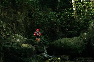 BIB: 
                            <button type="button" onclick="openModal(28080925)" class="btn btn-primary btn-sm float-right btn-popup" data-toggle="modal" data-target=".modal-high-quality">
                        <i class="fas fa-shopping-cart"></i> Add to Cart
                    </button>
                                            <button type="button" onclick="isThisMe(28080925, true)" class="btn btn-success btn-sm float-right btn-popup btn-isme hidden" data-toggle="tooltip" data-placement="bottom" title="นี่คือรูปของคุณใช่ไหม คลิกที่นี่เพื่อเอาเข้าอัลบั้ม">
                        <i class="fas fa-plus"></i> Add to album
                    </button>
                    <button type="button" onclick="isThisMe(28080925, false)" class="btn btn-warning btn-sm float-right btn-popup btn-isnotme hidden">
                        <i class="fas fa-ban"></i> Remove from album
                    </button>