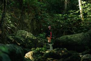 BIB: 
                            <button type="button" onclick="openModal(28081455)" class="btn btn-primary btn-sm float-right btn-popup" data-toggle="modal" data-target=".modal-high-quality">
                        <i class="fas fa-shopping-cart"></i> Add to Cart
                    </button>
                                            <button type="button" onclick="isThisMe(28081455, true)" class="btn btn-success btn-sm float-right btn-popup btn-isme hidden" data-toggle="tooltip" data-placement="bottom" title="นี่คือรูปของคุณใช่ไหม คลิกที่นี่เพื่อเอาเข้าอัลบั้ม">
                        <i class="fas fa-plus"></i> Add to album
                    </button>
                    <button type="button" onclick="isThisMe(28081455, false)" class="btn btn-warning btn-sm float-right btn-popup btn-isnotme hidden">
                        <i class="fas fa-ban"></i> Remove from album
                    </button>