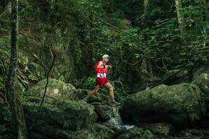 BIB: 
                            <button type="button" onclick="openModal(28079134)" class="btn btn-primary btn-sm float-right btn-popup" data-toggle="modal" data-target=".modal-high-quality">
                        <i class="fas fa-shopping-cart"></i> Add to Cart
                    </button>
                                            <button type="button" onclick="isThisMe(28079134, true)" class="btn btn-success btn-sm float-right btn-popup btn-isme hidden" data-toggle="tooltip" data-placement="bottom" title="นี่คือรูปของคุณใช่ไหม คลิกที่นี่เพื่อเอาเข้าอัลบั้ม">
                        <i class="fas fa-plus"></i> Add to album
                    </button>
                    <button type="button" onclick="isThisMe(28079134, false)" class="btn btn-warning btn-sm float-right btn-popup btn-isnotme hidden">
                        <i class="fas fa-ban"></i> Remove from album
                    </button>