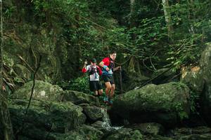 BIB: 
                            <button type="button" onclick="openModal(28079801)" class="btn btn-primary btn-sm float-right btn-popup" data-toggle="modal" data-target=".modal-high-quality">
                        <i class="fas fa-shopping-cart"></i> Add to Cart
                    </button>
                                            <button type="button" onclick="isThisMe(28079801, true)" class="btn btn-success btn-sm float-right btn-popup btn-isme hidden" data-toggle="tooltip" data-placement="bottom" title="นี่คือรูปของคุณใช่ไหม คลิกที่นี่เพื่อเอาเข้าอัลบั้ม">
                        <i class="fas fa-plus"></i> Add to album
                    </button>
                    <button type="button" onclick="isThisMe(28079801, false)" class="btn btn-warning btn-sm float-right btn-popup btn-isnotme hidden">
                        <i class="fas fa-ban"></i> Remove from album
                    </button>