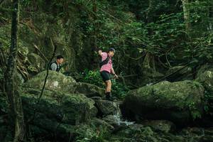 BIB: 
                            <button type="button" onclick="openModal(28079240)" class="btn btn-primary btn-sm float-right btn-popup" data-toggle="modal" data-target=".modal-high-quality">
                        <i class="fas fa-shopping-cart"></i> Add to Cart
                    </button>
                                            <button type="button" onclick="isThisMe(28079240, true)" class="btn btn-success btn-sm float-right btn-popup btn-isme hidden" data-toggle="tooltip" data-placement="bottom" title="นี่คือรูปของคุณใช่ไหม คลิกที่นี่เพื่อเอาเข้าอัลบั้ม">
                        <i class="fas fa-plus"></i> Add to album
                    </button>
                    <button type="button" onclick="isThisMe(28079240, false)" class="btn btn-warning btn-sm float-right btn-popup btn-isnotme hidden">
                        <i class="fas fa-ban"></i> Remove from album
                    </button>