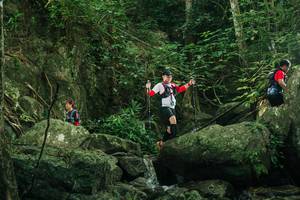 BIB: 
                            <button type="button" onclick="openModal(28079805)" class="btn btn-primary btn-sm float-right btn-popup" data-toggle="modal" data-target=".modal-high-quality">
                        <i class="fas fa-shopping-cart"></i> Add to Cart
                    </button>
                                            <button type="button" onclick="isThisMe(28079805, true)" class="btn btn-success btn-sm float-right btn-popup btn-isme hidden" data-toggle="tooltip" data-placement="bottom" title="นี่คือรูปของคุณใช่ไหม คลิกที่นี่เพื่อเอาเข้าอัลบั้ม">
                        <i class="fas fa-plus"></i> Add to album
                    </button>
                    <button type="button" onclick="isThisMe(28079805, false)" class="btn btn-warning btn-sm float-right btn-popup btn-isnotme hidden">
                        <i class="fas fa-ban"></i> Remove from album
                    </button>