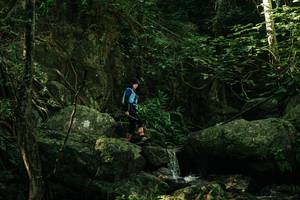 BIB: 
                            <button type="button" onclick="openModal(28081284)" class="btn btn-primary btn-sm float-right btn-popup" data-toggle="modal" data-target=".modal-high-quality">
                        <i class="fas fa-shopping-cart"></i> Add to Cart
                    </button>
                                            <button type="button" onclick="isThisMe(28081284, true)" class="btn btn-success btn-sm float-right btn-popup btn-isme hidden" data-toggle="tooltip" data-placement="bottom" title="นี่คือรูปของคุณใช่ไหม คลิกที่นี่เพื่อเอาเข้าอัลบั้ม">
                        <i class="fas fa-plus"></i> Add to album
                    </button>
                    <button type="button" onclick="isThisMe(28081284, false)" class="btn btn-warning btn-sm float-right btn-popup btn-isnotme hidden">
                        <i class="fas fa-ban"></i> Remove from album
                    </button>