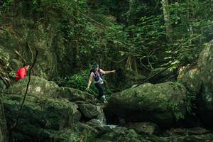 BIB: 
                            <button type="button" onclick="openModal(28079833)" class="btn btn-primary btn-sm float-right btn-popup" data-toggle="modal" data-target=".modal-high-quality">
                        <i class="fas fa-shopping-cart"></i> Add to Cart
                    </button>
                                            <button type="button" onclick="isThisMe(28079833, true)" class="btn btn-success btn-sm float-right btn-popup btn-isme hidden" data-toggle="tooltip" data-placement="bottom" title="นี่คือรูปของคุณใช่ไหม คลิกที่นี่เพื่อเอาเข้าอัลบั้ม">
                        <i class="fas fa-plus"></i> Add to album
                    </button>
                    <button type="button" onclick="isThisMe(28079833, false)" class="btn btn-warning btn-sm float-right btn-popup btn-isnotme hidden">
                        <i class="fas fa-ban"></i> Remove from album
                    </button>