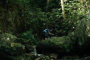 BIB: 
                            <button type="button" onclick="openModal(28081349)" class="btn btn-primary btn-sm float-right btn-popup" data-toggle="modal" data-target=".modal-high-quality">
                        <i class="fas fa-shopping-cart"></i> Add to Cart
                    </button>
                                            <button type="button" onclick="isThisMe(28081349, true)" class="btn btn-success btn-sm float-right btn-popup btn-isme hidden" data-toggle="tooltip" data-placement="bottom" title="นี่คือรูปของคุณใช่ไหม คลิกที่นี่เพื่อเอาเข้าอัลบั้ม">
                        <i class="fas fa-plus"></i> Add to album
                    </button>
                    <button type="button" onclick="isThisMe(28081349, false)" class="btn btn-warning btn-sm float-right btn-popup btn-isnotme hidden">
                        <i class="fas fa-ban"></i> Remove from album
                    </button>