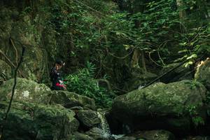 BIB: 
                            <button type="button" onclick="openModal(28079872)" class="btn btn-primary btn-sm float-right btn-popup" data-toggle="modal" data-target=".modal-high-quality">
                        <i class="fas fa-shopping-cart"></i> Add to Cart
                    </button>
                                            <button type="button" onclick="isThisMe(28079872, true)" class="btn btn-success btn-sm float-right btn-popup btn-isme hidden" data-toggle="tooltip" data-placement="bottom" title="นี่คือรูปของคุณใช่ไหม คลิกที่นี่เพื่อเอาเข้าอัลบั้ม">
                        <i class="fas fa-plus"></i> Add to album
                    </button>
                    <button type="button" onclick="isThisMe(28079872, false)" class="btn btn-warning btn-sm float-right btn-popup btn-isnotme hidden">
                        <i class="fas fa-ban"></i> Remove from album
                    </button>