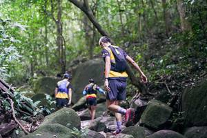 BIB: 
                            <button type="button" onclick="openModal(28027411)" class="btn btn-primary btn-sm float-right btn-popup" data-toggle="modal" data-target=".modal-high-quality">
                        <i class="fas fa-shopping-cart"></i> Add to Cart
                    </button>
                                            <button type="button" onclick="isThisMe(28027411, true)" class="btn btn-success btn-sm float-right btn-popup btn-isme hidden" data-toggle="tooltip" data-placement="bottom" title="นี่คือรูปของคุณใช่ไหม คลิกที่นี่เพื่อเอาเข้าอัลบั้ม">
                        <i class="fas fa-plus"></i> Add to album
                    </button>
                    <button type="button" onclick="isThisMe(28027411, false)" class="btn btn-warning btn-sm float-right btn-popup btn-isnotme hidden">
                        <i class="fas fa-ban"></i> Remove from album
                    </button>