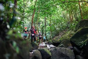 BIB: 
                            <button type="button" onclick="openModal(28028017)" class="btn btn-primary btn-sm float-right btn-popup" data-toggle="modal" data-target=".modal-high-quality">
                        <i class="fas fa-shopping-cart"></i> Add to Cart
                    </button>
                                            <button type="button" onclick="isThisMe(28028017, true)" class="btn btn-success btn-sm float-right btn-popup btn-isme hidden" data-toggle="tooltip" data-placement="bottom" title="นี่คือรูปของคุณใช่ไหม คลิกที่นี่เพื่อเอาเข้าอัลบั้ม">
                        <i class="fas fa-plus"></i> Add to album
                    </button>
                    <button type="button" onclick="isThisMe(28028017, false)" class="btn btn-warning btn-sm float-right btn-popup btn-isnotme hidden">
                        <i class="fas fa-ban"></i> Remove from album
                    </button>