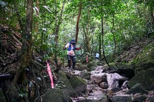 BIB: 
                            <button type="button" onclick="openModal(28025877)" class="btn btn-primary btn-sm float-right btn-popup" data-toggle="modal" data-target=".modal-high-quality">
                        <i class="fas fa-shopping-cart"></i> Add to Cart
                    </button>
                                            <button type="button" onclick="isThisMe(28025877, true)" class="btn btn-success btn-sm float-right btn-popup btn-isme hidden" data-toggle="tooltip" data-placement="bottom" title="นี่คือรูปของคุณใช่ไหม คลิกที่นี่เพื่อเอาเข้าอัลบั้ม">
                        <i class="fas fa-plus"></i> Add to album
                    </button>
                    <button type="button" onclick="isThisMe(28025877, false)" class="btn btn-warning btn-sm float-right btn-popup btn-isnotme hidden">
                        <i class="fas fa-ban"></i> Remove from album
                    </button>