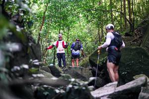 BIB: 
                            <button type="button" onclick="openModal(28029229)" class="btn btn-primary btn-sm float-right btn-popup" data-toggle="modal" data-target=".modal-high-quality">
                        <i class="fas fa-shopping-cart"></i> Add to Cart
                    </button>
                                            <button type="button" onclick="isThisMe(28029229, true)" class="btn btn-success btn-sm float-right btn-popup btn-isme hidden" data-toggle="tooltip" data-placement="bottom" title="นี่คือรูปของคุณใช่ไหม คลิกที่นี่เพื่อเอาเข้าอัลบั้ม">
                        <i class="fas fa-plus"></i> Add to album
                    </button>
                    <button type="button" onclick="isThisMe(28029229, false)" class="btn btn-warning btn-sm float-right btn-popup btn-isnotme hidden">
                        <i class="fas fa-ban"></i> Remove from album
                    </button>