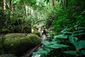 BIB: 
                            <button type="button" onclick="openModal(28025706)" class="btn btn-primary btn-sm float-right btn-popup" data-toggle="modal" data-target=".modal-high-quality">
                        <i class="fas fa-shopping-cart"></i> Add to Cart
                    </button>
                                            <button type="button" onclick="isThisMe(28025706, true)" class="btn btn-success btn-sm float-right btn-popup btn-isme hidden" data-toggle="tooltip" data-placement="bottom" title="นี่คือรูปของคุณใช่ไหม คลิกที่นี่เพื่อเอาเข้าอัลบั้ม">
                        <i class="fas fa-plus"></i> Add to album
                    </button>
                    <button type="button" onclick="isThisMe(28025706, false)" class="btn btn-warning btn-sm float-right btn-popup btn-isnotme hidden">
                        <i class="fas fa-ban"></i> Remove from album
                    </button>