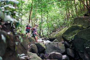 BIB: 
                            <button type="button" onclick="openModal(28028601)" class="btn btn-primary btn-sm float-right btn-popup" data-toggle="modal" data-target=".modal-high-quality">
                        <i class="fas fa-shopping-cart"></i> Add to Cart
                    </button>
                                            <button type="button" onclick="isThisMe(28028601, true)" class="btn btn-success btn-sm float-right btn-popup btn-isme hidden" data-toggle="tooltip" data-placement="bottom" title="นี่คือรูปของคุณใช่ไหม คลิกที่นี่เพื่อเอาเข้าอัลบั้ม">
                        <i class="fas fa-plus"></i> Add to album
                    </button>
                    <button type="button" onclick="isThisMe(28028601, false)" class="btn btn-warning btn-sm float-right btn-popup btn-isnotme hidden">
                        <i class="fas fa-ban"></i> Remove from album
                    </button>