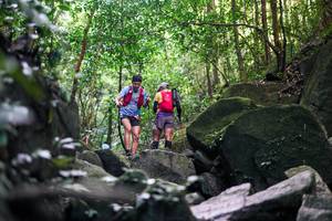 BIB: 
                            <button type="button" onclick="openModal(28029187)" class="btn btn-primary btn-sm float-right btn-popup" data-toggle="modal" data-target=".modal-high-quality">
                        <i class="fas fa-shopping-cart"></i> Add to Cart
                    </button>
                                            <button type="button" onclick="isThisMe(28029187, true)" class="btn btn-success btn-sm float-right btn-popup btn-isme hidden" data-toggle="tooltip" data-placement="bottom" title="นี่คือรูปของคุณใช่ไหม คลิกที่นี่เพื่อเอาเข้าอัลบั้ม">
                        <i class="fas fa-plus"></i> Add to album
                    </button>
                    <button type="button" onclick="isThisMe(28029187, false)" class="btn btn-warning btn-sm float-right btn-popup btn-isnotme hidden">
                        <i class="fas fa-ban"></i> Remove from album
                    </button>