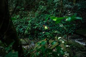 BIB: 
                            <button type="button" onclick="openModal(28025764)" class="btn btn-primary btn-sm float-right btn-popup" data-toggle="modal" data-target=".modal-high-quality">
                        <i class="fas fa-shopping-cart"></i> Add to Cart
                    </button>
                                            <button type="button" onclick="isThisMe(28025764, true)" class="btn btn-success btn-sm float-right btn-popup btn-isme hidden" data-toggle="tooltip" data-placement="bottom" title="นี่คือรูปของคุณใช่ไหม คลิกที่นี่เพื่อเอาเข้าอัลบั้ม">
                        <i class="fas fa-plus"></i> Add to album
                    </button>
                    <button type="button" onclick="isThisMe(28025764, false)" class="btn btn-warning btn-sm float-right btn-popup btn-isnotme hidden">
                        <i class="fas fa-ban"></i> Remove from album
                    </button>