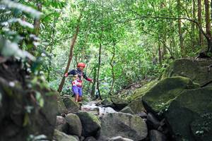 BIB: 
                            <button type="button" onclick="openModal(28028788)" class="btn btn-primary btn-sm float-right btn-popup" data-toggle="modal" data-target=".modal-high-quality">
                        <i class="fas fa-shopping-cart"></i> Add to Cart
                    </button>
                                            <button type="button" onclick="isThisMe(28028788, true)" class="btn btn-success btn-sm float-right btn-popup btn-isme hidden" data-toggle="tooltip" data-placement="bottom" title="นี่คือรูปของคุณใช่ไหม คลิกที่นี่เพื่อเอาเข้าอัลบั้ม">
                        <i class="fas fa-plus"></i> Add to album
                    </button>
                    <button type="button" onclick="isThisMe(28028788, false)" class="btn btn-warning btn-sm float-right btn-popup btn-isnotme hidden">
                        <i class="fas fa-ban"></i> Remove from album
                    </button>