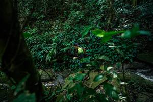 BIB: 
                            <button type="button" onclick="openModal(28025765)" class="btn btn-primary btn-sm float-right btn-popup" data-toggle="modal" data-target=".modal-high-quality">
                        <i class="fas fa-shopping-cart"></i> Add to Cart
                    </button>
                                            <button type="button" onclick="isThisMe(28025765, true)" class="btn btn-success btn-sm float-right btn-popup btn-isme hidden" data-toggle="tooltip" data-placement="bottom" title="นี่คือรูปของคุณใช่ไหม คลิกที่นี่เพื่อเอาเข้าอัลบั้ม">
                        <i class="fas fa-plus"></i> Add to album
                    </button>
                    <button type="button" onclick="isThisMe(28025765, false)" class="btn btn-warning btn-sm float-right btn-popup btn-isnotme hidden">
                        <i class="fas fa-ban"></i> Remove from album
                    </button>