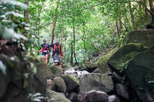 BIB: 
                            <button type="button" onclick="openModal(28028690)" class="btn btn-primary btn-sm float-right btn-popup" data-toggle="modal" data-target=".modal-high-quality">
                        <i class="fas fa-shopping-cart"></i> Add to Cart
                    </button>
                                            <button type="button" onclick="isThisMe(28028690, true)" class="btn btn-success btn-sm float-right btn-popup btn-isme hidden" data-toggle="tooltip" data-placement="bottom" title="นี่คือรูปของคุณใช่ไหม คลิกที่นี่เพื่อเอาเข้าอัลบั้ม">
                        <i class="fas fa-plus"></i> Add to album
                    </button>
                    <button type="button" onclick="isThisMe(28028690, false)" class="btn btn-warning btn-sm float-right btn-popup btn-isnotme hidden">
                        <i class="fas fa-ban"></i> Remove from album
                    </button>