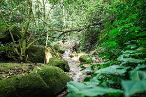 BIB: 
                            <button type="button" onclick="openModal(28025702)" class="btn btn-primary btn-sm float-right btn-popup" data-toggle="modal" data-target=".modal-high-quality">
                        <i class="fas fa-shopping-cart"></i> Add to Cart
                    </button>
                                            <button type="button" onclick="isThisMe(28025702, true)" class="btn btn-success btn-sm float-right btn-popup btn-isme hidden" data-toggle="tooltip" data-placement="bottom" title="นี่คือรูปของคุณใช่ไหม คลิกที่นี่เพื่อเอาเข้าอัลบั้ม">
                        <i class="fas fa-plus"></i> Add to album
                    </button>
                    <button type="button" onclick="isThisMe(28025702, false)" class="btn btn-warning btn-sm float-right btn-popup btn-isnotme hidden">
                        <i class="fas fa-ban"></i> Remove from album
                    </button>