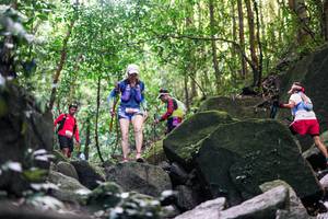 BIB: 
                            <button type="button" onclick="openModal(28029164)" class="btn btn-primary btn-sm float-right btn-popup" data-toggle="modal" data-target=".modal-high-quality">
                        <i class="fas fa-shopping-cart"></i> Add to Cart
                    </button>
                                            <button type="button" onclick="isThisMe(28029164, true)" class="btn btn-success btn-sm float-right btn-popup btn-isme hidden" data-toggle="tooltip" data-placement="bottom" title="นี่คือรูปของคุณใช่ไหม คลิกที่นี่เพื่อเอาเข้าอัลบั้ม">
                        <i class="fas fa-plus"></i> Add to album
                    </button>
                    <button type="button" onclick="isThisMe(28029164, false)" class="btn btn-warning btn-sm float-right btn-popup btn-isnotme hidden">
                        <i class="fas fa-ban"></i> Remove from album
                    </button>