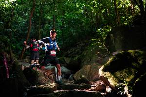 BIB: 
                            <button type="button" onclick="openModal(28027855)" class="btn btn-primary btn-sm float-right btn-popup" data-toggle="modal" data-target=".modal-high-quality">
                        <i class="fas fa-shopping-cart"></i> Add to Cart
                    </button>
                                            <button type="button" onclick="isThisMe(28027855, true)" class="btn btn-success btn-sm float-right btn-popup btn-isme hidden" data-toggle="tooltip" data-placement="bottom" title="นี่คือรูปของคุณใช่ไหม คลิกที่นี่เพื่อเอาเข้าอัลบั้ม">
                        <i class="fas fa-plus"></i> Add to album
                    </button>
                    <button type="button" onclick="isThisMe(28027855, false)" class="btn btn-warning btn-sm float-right btn-popup btn-isnotme hidden">
                        <i class="fas fa-ban"></i> Remove from album
                    </button>