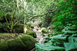 BIB: 
                            <button type="button" onclick="openModal(28025707)" class="btn btn-primary btn-sm float-right btn-popup" data-toggle="modal" data-target=".modal-high-quality">
                        <i class="fas fa-shopping-cart"></i> Add to Cart
                    </button>
                                            <button type="button" onclick="isThisMe(28025707, true)" class="btn btn-success btn-sm float-right btn-popup btn-isme hidden" data-toggle="tooltip" data-placement="bottom" title="นี่คือรูปของคุณใช่ไหม คลิกที่นี่เพื่อเอาเข้าอัลบั้ม">
                        <i class="fas fa-plus"></i> Add to album
                    </button>
                    <button type="button" onclick="isThisMe(28025707, false)" class="btn btn-warning btn-sm float-right btn-popup btn-isnotme hidden">
                        <i class="fas fa-ban"></i> Remove from album
                    </button>