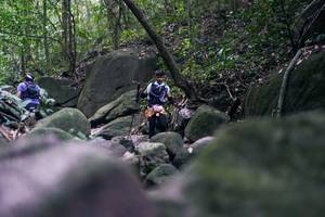 BIB: 
                            <button type="button" onclick="openModal(28027192)" class="btn btn-primary btn-sm float-right btn-popup" data-toggle="modal" data-target=".modal-high-quality">
                        <i class="fas fa-shopping-cart"></i> Add to Cart
                    </button>
                                            <button type="button" onclick="isThisMe(28027192, true)" class="btn btn-success btn-sm float-right btn-popup btn-isme hidden" data-toggle="tooltip" data-placement="bottom" title="นี่คือรูปของคุณใช่ไหม คลิกที่นี่เพื่อเอาเข้าอัลบั้ม">
                        <i class="fas fa-plus"></i> Add to album
                    </button>
                    <button type="button" onclick="isThisMe(28027192, false)" class="btn btn-warning btn-sm float-right btn-popup btn-isnotme hidden">
                        <i class="fas fa-ban"></i> Remove from album
                    </button>