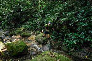 BIB: 
                            <button type="button" onclick="openModal(28025704)" class="btn btn-primary btn-sm float-right btn-popup" data-toggle="modal" data-target=".modal-high-quality">
                        <i class="fas fa-shopping-cart"></i> Add to Cart
                    </button>
                                            <button type="button" onclick="isThisMe(28025704, true)" class="btn btn-success btn-sm float-right btn-popup btn-isme hidden" data-toggle="tooltip" data-placement="bottom" title="นี่คือรูปของคุณใช่ไหม คลิกที่นี่เพื่อเอาเข้าอัลบั้ม">
                        <i class="fas fa-plus"></i> Add to album
                    </button>
                    <button type="button" onclick="isThisMe(28025704, false)" class="btn btn-warning btn-sm float-right btn-popup btn-isnotme hidden">
                        <i class="fas fa-ban"></i> Remove from album
                    </button>