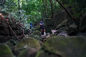 BIB: 
                            <button type="button" onclick="openModal(28026068)" class="btn btn-primary btn-sm float-right btn-popup" data-toggle="modal" data-target=".modal-high-quality">
                        <i class="fas fa-shopping-cart"></i> Add to Cart
                    </button>
                                            <button type="button" onclick="isThisMe(28026068, true)" class="btn btn-success btn-sm float-right btn-popup btn-isme hidden" data-toggle="tooltip" data-placement="bottom" title="นี่คือรูปของคุณใช่ไหม คลิกที่นี่เพื่อเอาเข้าอัลบั้ม">
                        <i class="fas fa-plus"></i> Add to album
                    </button>
                    <button type="button" onclick="isThisMe(28026068, false)" class="btn btn-warning btn-sm float-right btn-popup btn-isnotme hidden">
                        <i class="fas fa-ban"></i> Remove from album
                    </button>