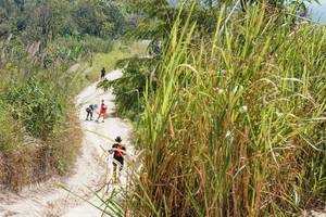 BIB: 
                            <button type="button" onclick="openModal(27954770)" class="btn btn-primary btn-sm float-right btn-popup" data-toggle="modal" data-target=".modal-high-quality">
                        <i class="fas fa-shopping-cart"></i> Add to Cart
                    </button>
                                            <button type="button" onclick="isThisMe(27954770, true)" class="btn btn-success btn-sm float-right btn-popup btn-isme hidden" data-toggle="tooltip" data-placement="bottom" title="นี่คือรูปของคุณใช่ไหม คลิกที่นี่เพื่อเอาเข้าอัลบั้ม">
                        <i class="fas fa-plus"></i> Add to album
                    </button>
                    <button type="button" onclick="isThisMe(27954770, false)" class="btn btn-warning btn-sm float-right btn-popup btn-isnotme hidden">
                        <i class="fas fa-ban"></i> Remove from album
                    </button>