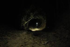 BIB: 
                            <button type="button" onclick="openModal(27947662)" class="btn btn-primary btn-sm float-right btn-popup" data-toggle="modal" data-target=".modal-high-quality">
                        <i class="fas fa-shopping-cart"></i> Add to Cart
                    </button>
                                            <button type="button" onclick="isThisMe(27947662, true)" class="btn btn-success btn-sm float-right btn-popup btn-isme hidden" data-toggle="tooltip" data-placement="bottom" title="นี่คือรูปของคุณใช่ไหม คลิกที่นี่เพื่อเอาเข้าอัลบั้ม">
                        <i class="fas fa-plus"></i> Add to album
                    </button>
                    <button type="button" onclick="isThisMe(27947662, false)" class="btn btn-warning btn-sm float-right btn-popup btn-isnotme hidden">
                        <i class="fas fa-ban"></i> Remove from album
                    </button>