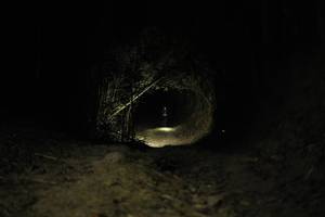 BIB: 
                            <button type="button" onclick="openModal(27947656)" class="btn btn-primary btn-sm float-right btn-popup" data-toggle="modal" data-target=".modal-high-quality">
                        <i class="fas fa-shopping-cart"></i> Add to Cart
                    </button>
                                            <button type="button" onclick="isThisMe(27947656, true)" class="btn btn-success btn-sm float-right btn-popup btn-isme hidden" data-toggle="tooltip" data-placement="bottom" title="นี่คือรูปของคุณใช่ไหม คลิกที่นี่เพื่อเอาเข้าอัลบั้ม">
                        <i class="fas fa-plus"></i> Add to album
                    </button>
                    <button type="button" onclick="isThisMe(27947656, false)" class="btn btn-warning btn-sm float-right btn-popup btn-isnotme hidden">
                        <i class="fas fa-ban"></i> Remove from album
                    </button>