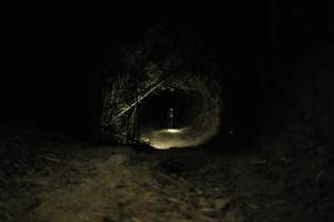 BIB: 
                            <button type="button" onclick="openModal(27947658)" class="btn btn-primary btn-sm float-right btn-popup" data-toggle="modal" data-target=".modal-high-quality">
                        <i class="fas fa-shopping-cart"></i> Add to Cart
                    </button>
                                            <button type="button" onclick="isThisMe(27947658, true)" class="btn btn-success btn-sm float-right btn-popup btn-isme hidden" data-toggle="tooltip" data-placement="bottom" title="นี่คือรูปของคุณใช่ไหม คลิกที่นี่เพื่อเอาเข้าอัลบั้ม">
                        <i class="fas fa-plus"></i> Add to album
                    </button>
                    <button type="button" onclick="isThisMe(27947658, false)" class="btn btn-warning btn-sm float-right btn-popup btn-isnotme hidden">
                        <i class="fas fa-ban"></i> Remove from album
                    </button>