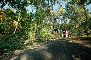 BIB: 
                            <button type="button" onclick="openModal(27974235)" class="btn btn-primary btn-sm float-right btn-popup" data-toggle="modal" data-target=".modal-high-quality">
                        <i class="fas fa-shopping-cart"></i> Add to Cart
                    </button>
                                            <button type="button" onclick="isThisMe(27974235, true)" class="btn btn-success btn-sm float-right btn-popup btn-isme hidden" data-toggle="tooltip" data-placement="bottom" title="นี่คือรูปของคุณใช่ไหม คลิกที่นี่เพื่อเอาเข้าอัลบั้ม">
                        <i class="fas fa-plus"></i> Add to album
                    </button>
                    <button type="button" onclick="isThisMe(27974235, false)" class="btn btn-warning btn-sm float-right btn-popup btn-isnotme hidden">
                        <i class="fas fa-ban"></i> Remove from album
                    </button>