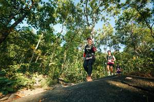 BIB: 
                            <button type="button" onclick="openModal(27970168)" class="btn btn-primary btn-sm float-right btn-popup" data-toggle="modal" data-target=".modal-high-quality">
                        <i class="fas fa-shopping-cart"></i> Add to Cart
                    </button>
                                            <button type="button" onclick="isThisMe(27970168, true)" class="btn btn-success btn-sm float-right btn-popup btn-isme hidden" data-toggle="tooltip" data-placement="bottom" title="นี่คือรูปของคุณใช่ไหม คลิกที่นี่เพื่อเอาเข้าอัลบั้ม">
                        <i class="fas fa-plus"></i> Add to album
                    </button>
                    <button type="button" onclick="isThisMe(27970168, false)" class="btn btn-warning btn-sm float-right btn-popup btn-isnotme hidden">
                        <i class="fas fa-ban"></i> Remove from album
                    </button>