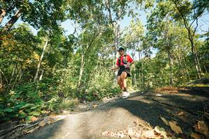 BIB: 
                            <button type="button" onclick="openModal(27972028)" class="btn btn-primary btn-sm float-right btn-popup" data-toggle="modal" data-target=".modal-high-quality">
                        <i class="fas fa-shopping-cart"></i> Add to Cart
                    </button>
                                            <button type="button" onclick="isThisMe(27972028, true)" class="btn btn-success btn-sm float-right btn-popup btn-isme hidden" data-toggle="tooltip" data-placement="bottom" title="นี่คือรูปของคุณใช่ไหม คลิกที่นี่เพื่อเอาเข้าอัลบั้ม">
                        <i class="fas fa-plus"></i> Add to album
                    </button>
                    <button type="button" onclick="isThisMe(27972028, false)" class="btn btn-warning btn-sm float-right btn-popup btn-isnotme hidden">
                        <i class="fas fa-ban"></i> Remove from album
                    </button>