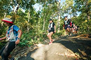 BIB: 
                            <button type="button" onclick="openModal(27971500)" class="btn btn-primary btn-sm float-right btn-popup" data-toggle="modal" data-target=".modal-high-quality">
                        <i class="fas fa-shopping-cart"></i> Add to Cart
                    </button>
                                            <button type="button" onclick="isThisMe(27971500, true)" class="btn btn-success btn-sm float-right btn-popup btn-isme hidden" data-toggle="tooltip" data-placement="bottom" title="นี่คือรูปของคุณใช่ไหม คลิกที่นี่เพื่อเอาเข้าอัลบั้ม">
                        <i class="fas fa-plus"></i> Add to album
                    </button>
                    <button type="button" onclick="isThisMe(27971500, false)" class="btn btn-warning btn-sm float-right btn-popup btn-isnotme hidden">
                        <i class="fas fa-ban"></i> Remove from album
                    </button>