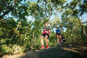 BIB: 
                            <button type="button" onclick="openModal(27970296)" class="btn btn-primary btn-sm float-right btn-popup" data-toggle="modal" data-target=".modal-high-quality">
                        <i class="fas fa-shopping-cart"></i> Add to Cart
                    </button>
                                            <button type="button" onclick="isThisMe(27970296, true)" class="btn btn-success btn-sm float-right btn-popup btn-isme hidden" data-toggle="tooltip" data-placement="bottom" title="นี่คือรูปของคุณใช่ไหม คลิกที่นี่เพื่อเอาเข้าอัลบั้ม">
                        <i class="fas fa-plus"></i> Add to album
                    </button>
                    <button type="button" onclick="isThisMe(27970296, false)" class="btn btn-warning btn-sm float-right btn-popup btn-isnotme hidden">
                        <i class="fas fa-ban"></i> Remove from album
                    </button>