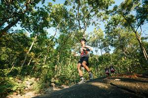 BIB: 
                            <button type="button" onclick="openModal(27974140)" class="btn btn-primary btn-sm float-right btn-popup" data-toggle="modal" data-target=".modal-high-quality">
                        <i class="fas fa-shopping-cart"></i> Add to Cart
                    </button>
                                            <button type="button" onclick="isThisMe(27974140, true)" class="btn btn-success btn-sm float-right btn-popup btn-isme hidden" data-toggle="tooltip" data-placement="bottom" title="นี่คือรูปของคุณใช่ไหม คลิกที่นี่เพื่อเอาเข้าอัลบั้ม">
                        <i class="fas fa-plus"></i> Add to album
                    </button>
                    <button type="button" onclick="isThisMe(27974140, false)" class="btn btn-warning btn-sm float-right btn-popup btn-isnotme hidden">
                        <i class="fas fa-ban"></i> Remove from album
                    </button>