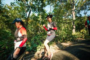 BIB: 
                            <button type="button" onclick="openModal(27973448)" class="btn btn-primary btn-sm float-right btn-popup" data-toggle="modal" data-target=".modal-high-quality">
                        <i class="fas fa-shopping-cart"></i> Add to Cart
                    </button>
                                            <button type="button" onclick="isThisMe(27973448, true)" class="btn btn-success btn-sm float-right btn-popup btn-isme hidden" data-toggle="tooltip" data-placement="bottom" title="นี่คือรูปของคุณใช่ไหม คลิกที่นี่เพื่อเอาเข้าอัลบั้ม">
                        <i class="fas fa-plus"></i> Add to album
                    </button>
                    <button type="button" onclick="isThisMe(27973448, false)" class="btn btn-warning btn-sm float-right btn-popup btn-isnotme hidden">
                        <i class="fas fa-ban"></i> Remove from album
                    </button>