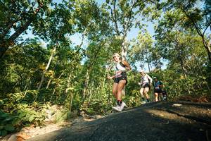 BIB: 
                            <button type="button" onclick="openModal(27974532)" class="btn btn-primary btn-sm float-right btn-popup" data-toggle="modal" data-target=".modal-high-quality">
                        <i class="fas fa-shopping-cart"></i> Add to Cart
                    </button>
                                            <button type="button" onclick="isThisMe(27974532, true)" class="btn btn-success btn-sm float-right btn-popup btn-isme hidden" data-toggle="tooltip" data-placement="bottom" title="นี่คือรูปของคุณใช่ไหม คลิกที่นี่เพื่อเอาเข้าอัลบั้ม">
                        <i class="fas fa-plus"></i> Add to album
                    </button>
                    <button type="button" onclick="isThisMe(27974532, false)" class="btn btn-warning btn-sm float-right btn-popup btn-isnotme hidden">
                        <i class="fas fa-ban"></i> Remove from album
                    </button>