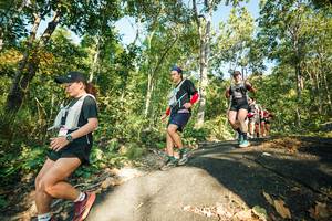 BIB: 
                            <button type="button" onclick="openModal(27971508)" class="btn btn-primary btn-sm float-right btn-popup" data-toggle="modal" data-target=".modal-high-quality">
                        <i class="fas fa-shopping-cart"></i> Add to Cart
                    </button>
                                            <button type="button" onclick="isThisMe(27971508, true)" class="btn btn-success btn-sm float-right btn-popup btn-isme hidden" data-toggle="tooltip" data-placement="bottom" title="นี่คือรูปของคุณใช่ไหม คลิกที่นี่เพื่อเอาเข้าอัลบั้ม">
                        <i class="fas fa-plus"></i> Add to album
                    </button>
                    <button type="button" onclick="isThisMe(27971508, false)" class="btn btn-warning btn-sm float-right btn-popup btn-isnotme hidden">
                        <i class="fas fa-ban"></i> Remove from album
                    </button>