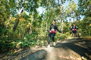 BIB: 
                            <button type="button" onclick="openModal(27972588)" class="btn btn-primary btn-sm float-right btn-popup" data-toggle="modal" data-target=".modal-high-quality">
                        <i class="fas fa-shopping-cart"></i> Add to Cart
                    </button>
                                            <button type="button" onclick="isThisMe(27972588, true)" class="btn btn-success btn-sm float-right btn-popup btn-isme hidden" data-toggle="tooltip" data-placement="bottom" title="นี่คือรูปของคุณใช่ไหม คลิกที่นี่เพื่อเอาเข้าอัลบั้ม">
                        <i class="fas fa-plus"></i> Add to album
                    </button>
                    <button type="button" onclick="isThisMe(27972588, false)" class="btn btn-warning btn-sm float-right btn-popup btn-isnotme hidden">
                        <i class="fas fa-ban"></i> Remove from album
                    </button>