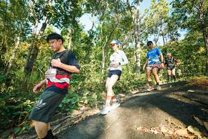 BIB: 
                            <button type="button" onclick="openModal(27972493)" class="btn btn-primary btn-sm float-right btn-popup" data-toggle="modal" data-target=".modal-high-quality">
                        <i class="fas fa-shopping-cart"></i> Add to Cart
                    </button>
                                            <button type="button" onclick="isThisMe(27972493, true)" class="btn btn-success btn-sm float-right btn-popup btn-isme hidden" data-toggle="tooltip" data-placement="bottom" title="นี่คือรูปของคุณใช่ไหม คลิกที่นี่เพื่อเอาเข้าอัลบั้ม">
                        <i class="fas fa-plus"></i> Add to album
                    </button>
                    <button type="button" onclick="isThisMe(27972493, false)" class="btn btn-warning btn-sm float-right btn-popup btn-isnotme hidden">
                        <i class="fas fa-ban"></i> Remove from album
                    </button>