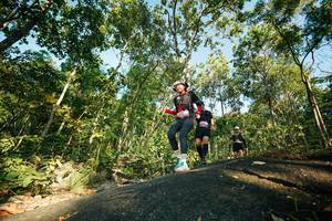 BIB: 
                            <button type="button" onclick="openModal(27970377)" class="btn btn-primary btn-sm float-right btn-popup" data-toggle="modal" data-target=".modal-high-quality">
                        <i class="fas fa-shopping-cart"></i> Add to Cart
                    </button>
                                            <button type="button" onclick="isThisMe(27970377, true)" class="btn btn-success btn-sm float-right btn-popup btn-isme hidden" data-toggle="tooltip" data-placement="bottom" title="นี่คือรูปของคุณใช่ไหม คลิกที่นี่เพื่อเอาเข้าอัลบั้ม">
                        <i class="fas fa-plus"></i> Add to album
                    </button>
                    <button type="button" onclick="isThisMe(27970377, false)" class="btn btn-warning btn-sm float-right btn-popup btn-isnotme hidden">
                        <i class="fas fa-ban"></i> Remove from album
                    </button>