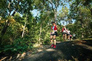 BIB: 
                            <button type="button" onclick="openModal(27970788)" class="btn btn-primary btn-sm float-right btn-popup" data-toggle="modal" data-target=".modal-high-quality">
                        <i class="fas fa-shopping-cart"></i> Add to Cart
                    </button>
                                            <button type="button" onclick="isThisMe(27970788, true)" class="btn btn-success btn-sm float-right btn-popup btn-isme hidden" data-toggle="tooltip" data-placement="bottom" title="นี่คือรูปของคุณใช่ไหม คลิกที่นี่เพื่อเอาเข้าอัลบั้ม">
                        <i class="fas fa-plus"></i> Add to album
                    </button>
                    <button type="button" onclick="isThisMe(27970788, false)" class="btn btn-warning btn-sm float-right btn-popup btn-isnotme hidden">
                        <i class="fas fa-ban"></i> Remove from album
                    </button>