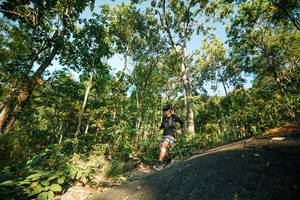 BIB: 
                            <button type="button" onclick="openModal(27973018)" class="btn btn-primary btn-sm float-right btn-popup" data-toggle="modal" data-target=".modal-high-quality">
                        <i class="fas fa-shopping-cart"></i> Add to Cart
                    </button>
                                            <button type="button" onclick="isThisMe(27973018, true)" class="btn btn-success btn-sm float-right btn-popup btn-isme hidden" data-toggle="tooltip" data-placement="bottom" title="นี่คือรูปของคุณใช่ไหม คลิกที่นี่เพื่อเอาเข้าอัลบั้ม">
                        <i class="fas fa-plus"></i> Add to album
                    </button>
                    <button type="button" onclick="isThisMe(27973018, false)" class="btn btn-warning btn-sm float-right btn-popup btn-isnotme hidden">
                        <i class="fas fa-ban"></i> Remove from album
                    </button>