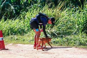 BIB: 
                            <button type="button" onclick="openModal(27995419)" class="btn btn-primary btn-sm float-right btn-popup" data-toggle="modal" data-target=".modal-high-quality">
                        <i class="fas fa-shopping-cart"></i> Add to Cart
                    </button>
                                            <button type="button" onclick="isThisMe(27995419, true)" class="btn btn-success btn-sm float-right btn-popup btn-isme hidden" data-toggle="tooltip" data-placement="bottom" title="นี่คือรูปของคุณใช่ไหม คลิกที่นี่เพื่อเอาเข้าอัลบั้ม">
                        <i class="fas fa-plus"></i> Add to album
                    </button>
                    <button type="button" onclick="isThisMe(27995419, false)" class="btn btn-warning btn-sm float-right btn-popup btn-isnotme hidden">
                        <i class="fas fa-ban"></i> Remove from album
                    </button>